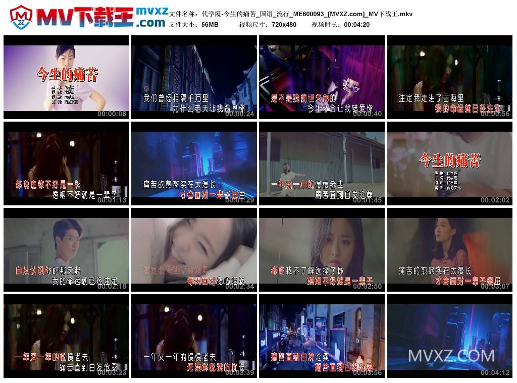 代学霞-今生的痛苦_国语_流行_ME600093